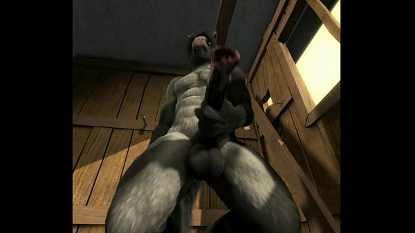 Horse jerking off his huge cock in barn